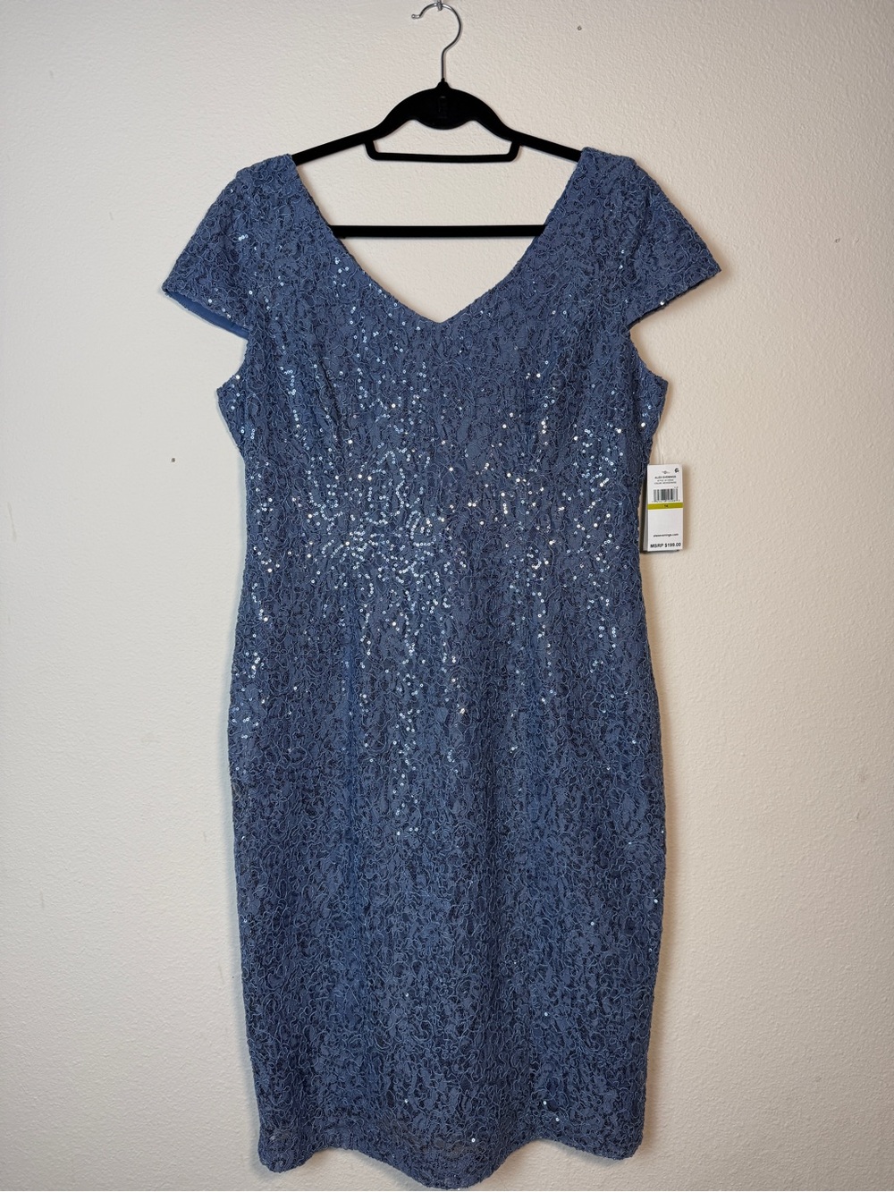 Alex Evenings 14 Wedgewood Blue Lace Sequin Sheath Dress Mother of Bride NWT